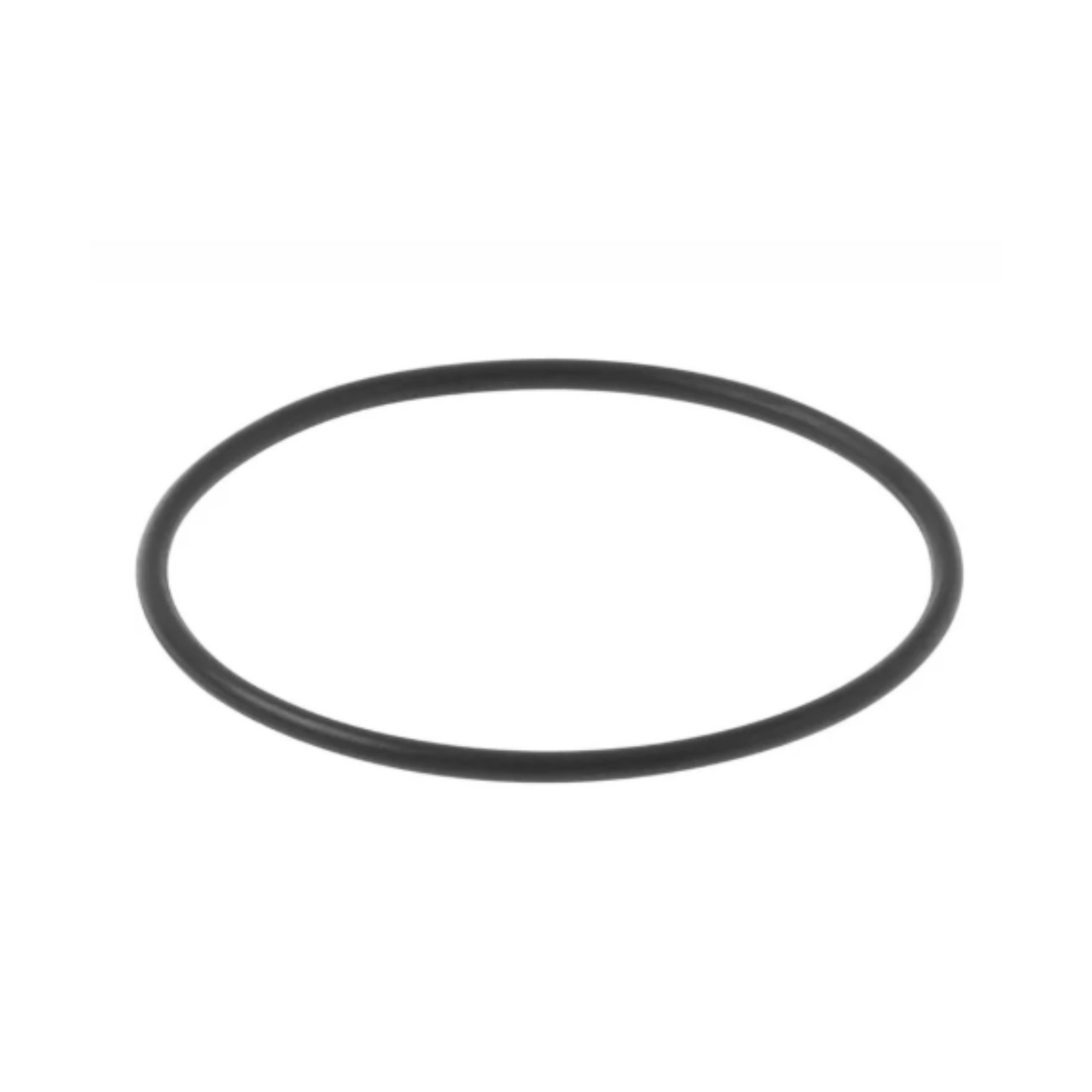 Victory Motorcycle OEM O-Ring, 5412071