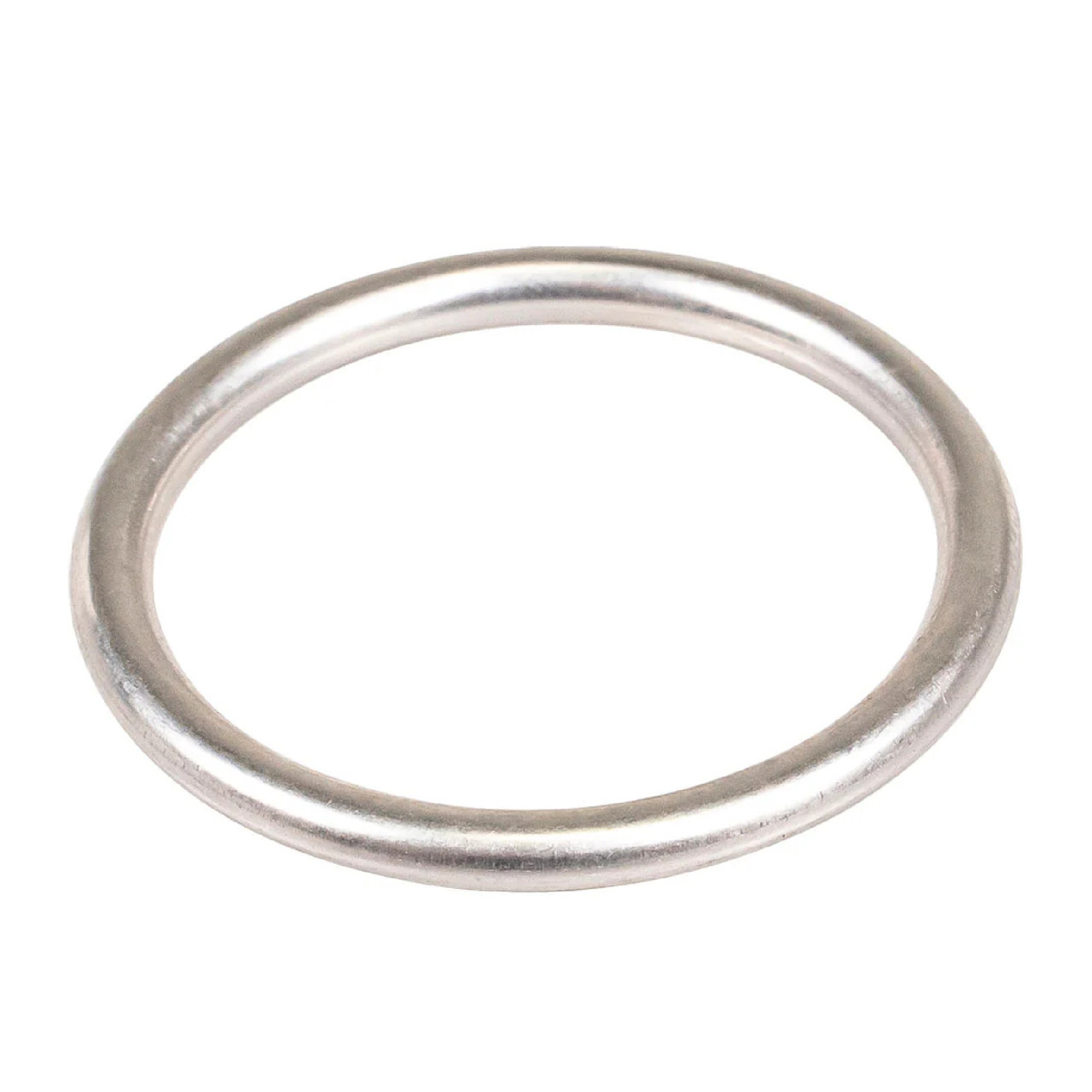Polaris OEM Exhaust Sealing Gasket, 5253989