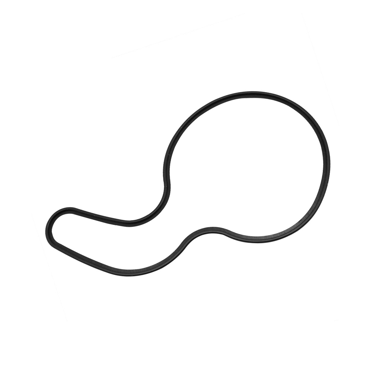 Polaris New OEM Water Pump O-Ring Seal, 5812571