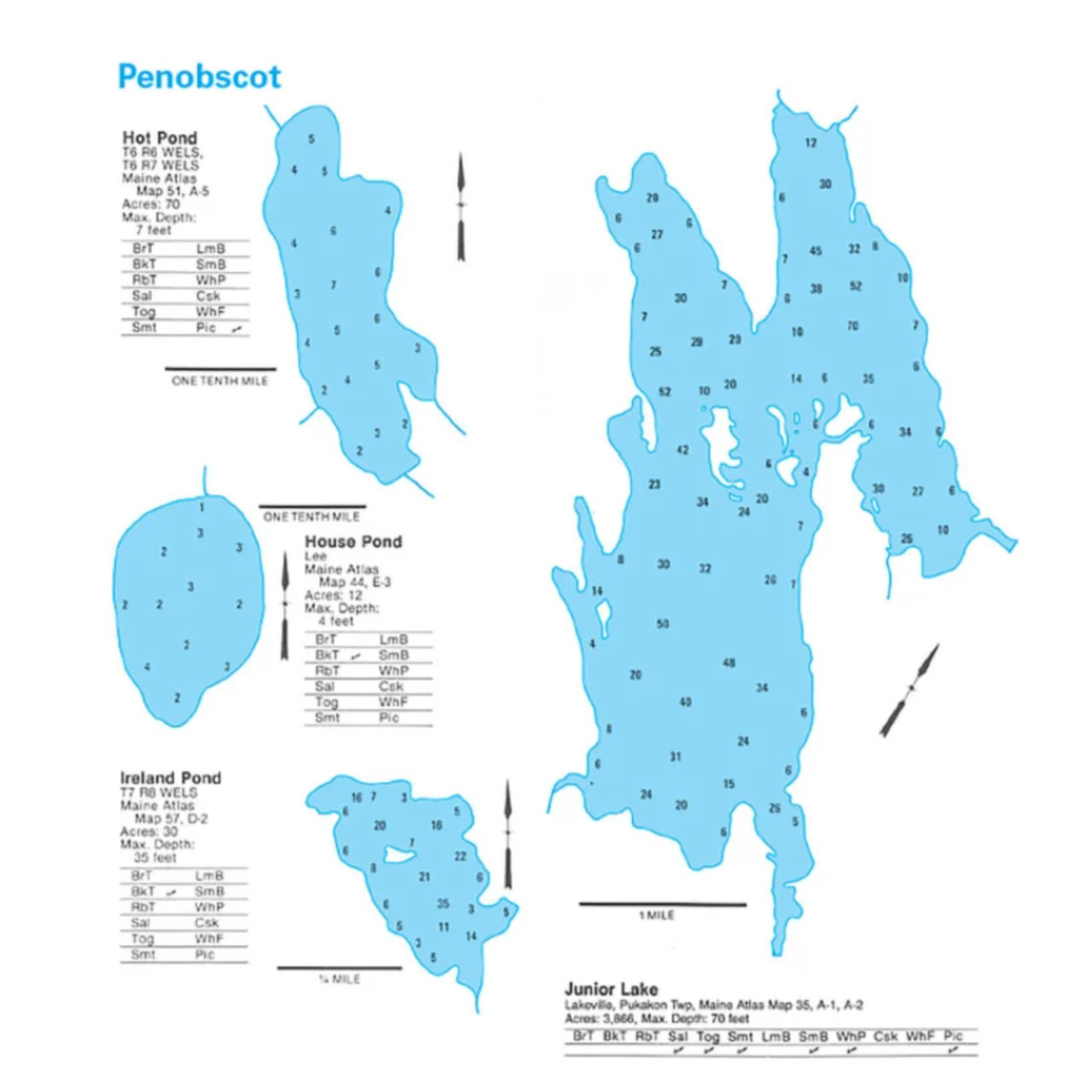 Garmin OEM Maine Fishing Depth Maps, 010-13219-00