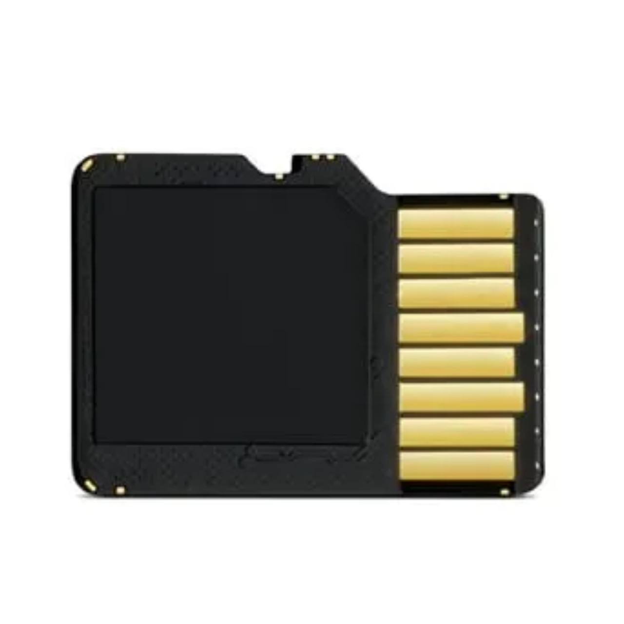 Garmin New OEM 16 GB microSD™ Class 10 Card with SD Adapter, 010-10683-07