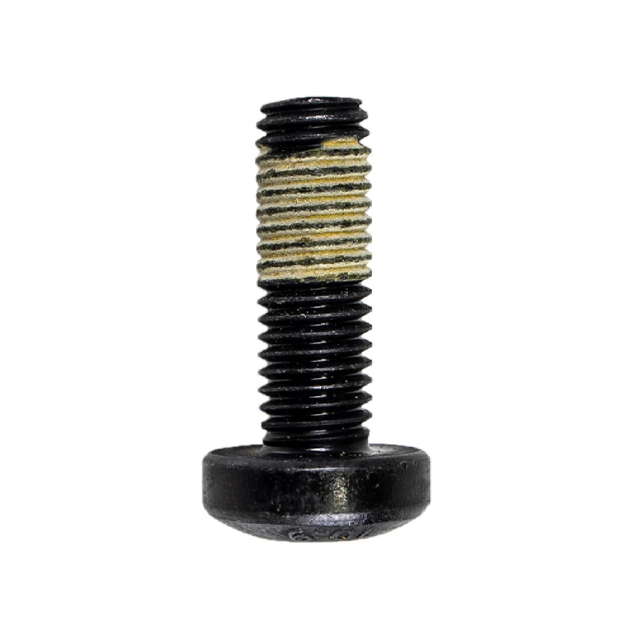 Can-Am OEM Scotch Grip Pan Head Torx Screw (M10 x 30), 250000848