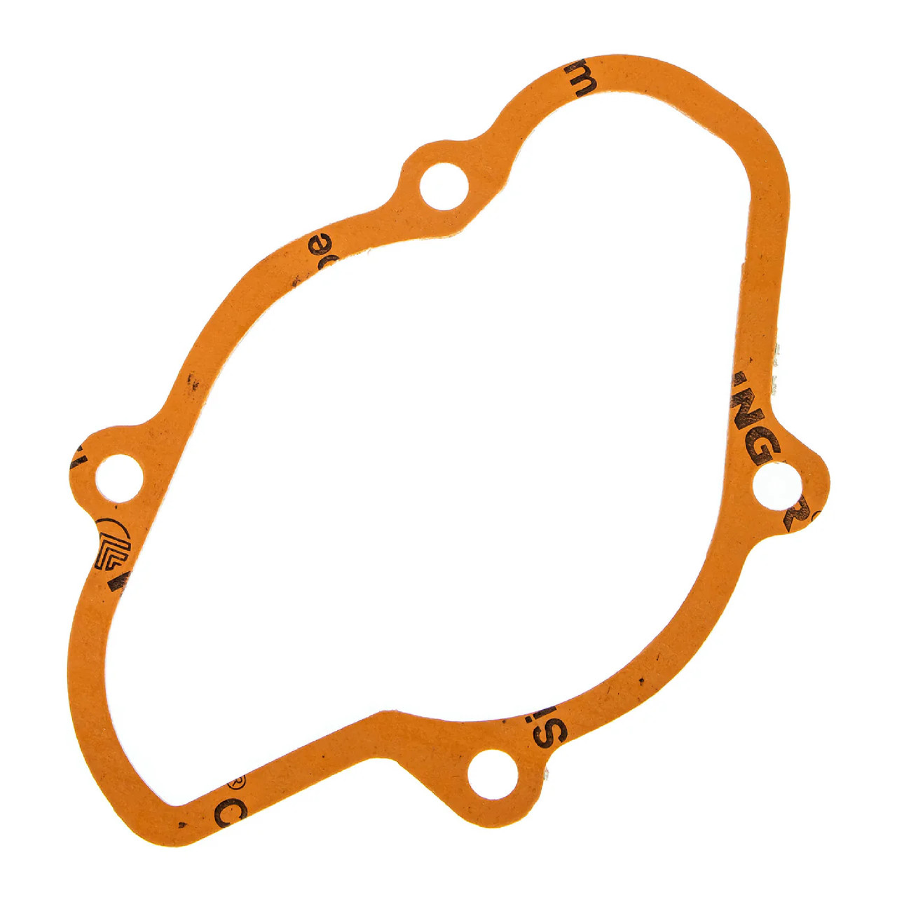 Ski-Doo OEM Water Pump Cover Gasket, 420430051