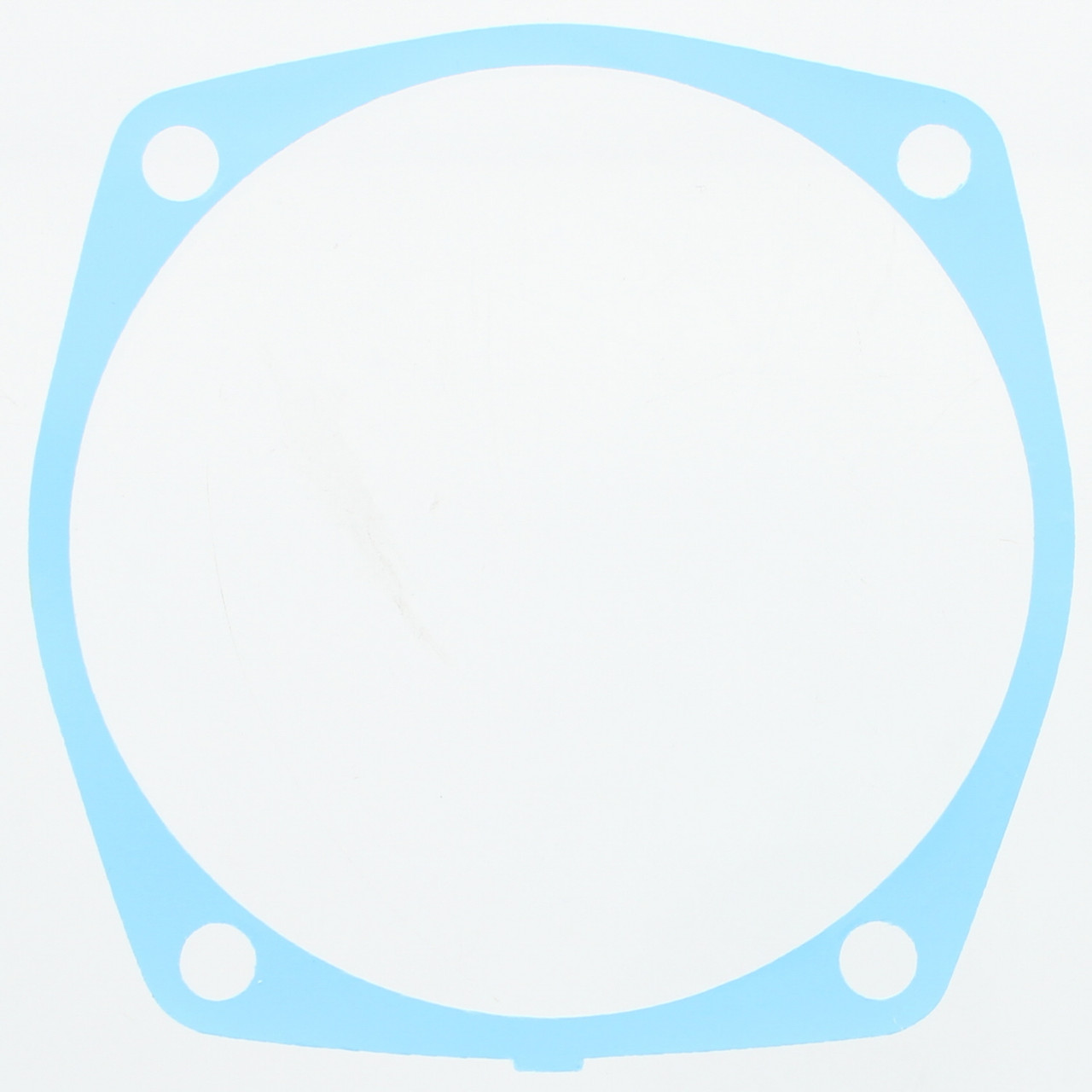 Johnson Evinrude OMC New OEM Sterndrive Retainer/Housing Shim, 313205, 0313205