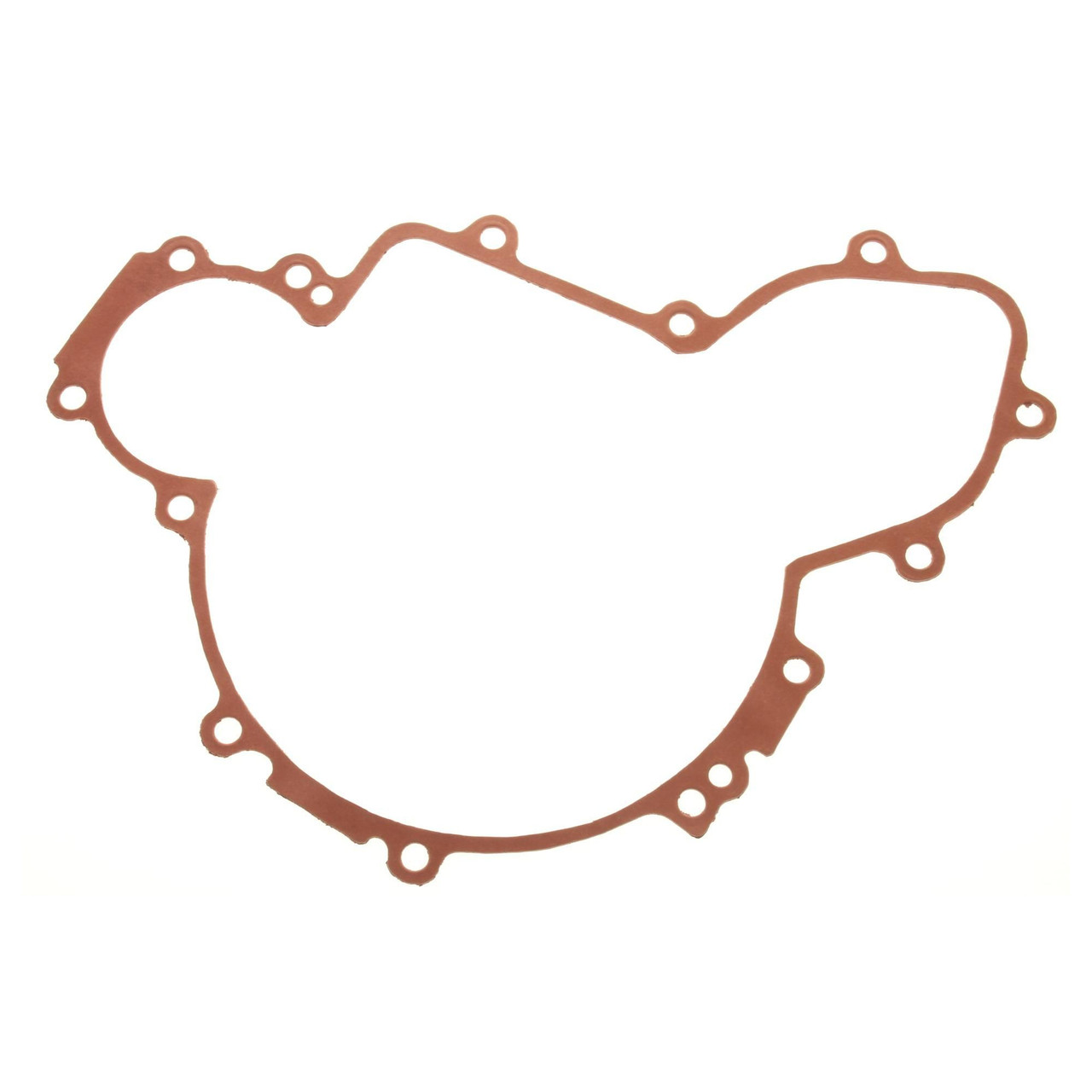 Polaris OEM Ignition Cover Gasket, RZR, 5813505
