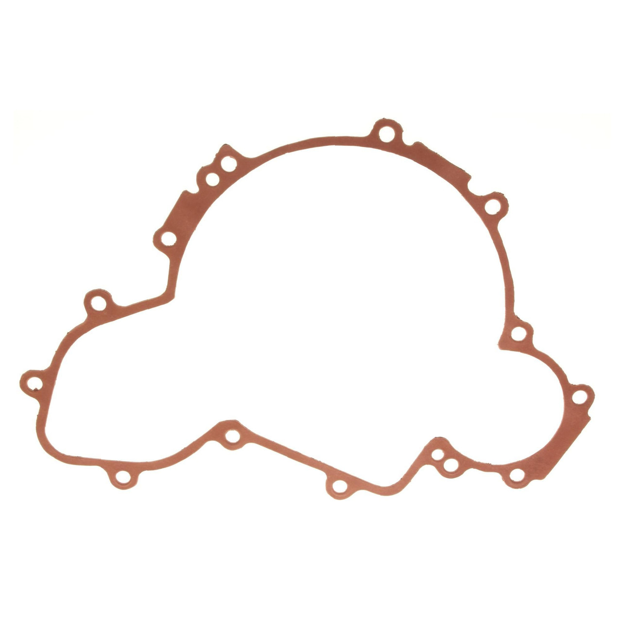 Polaris OEM Ignition Cover Gasket, RZR, 5813505
