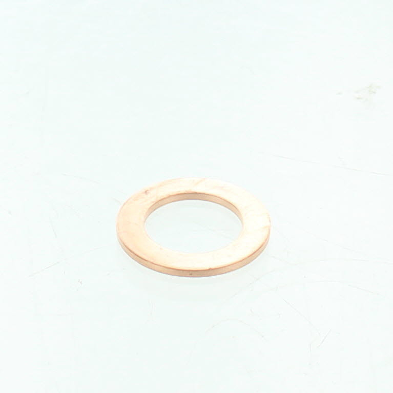Polaris OEM Drain Plug Copper Washer, 19X12X1.3, 5812232