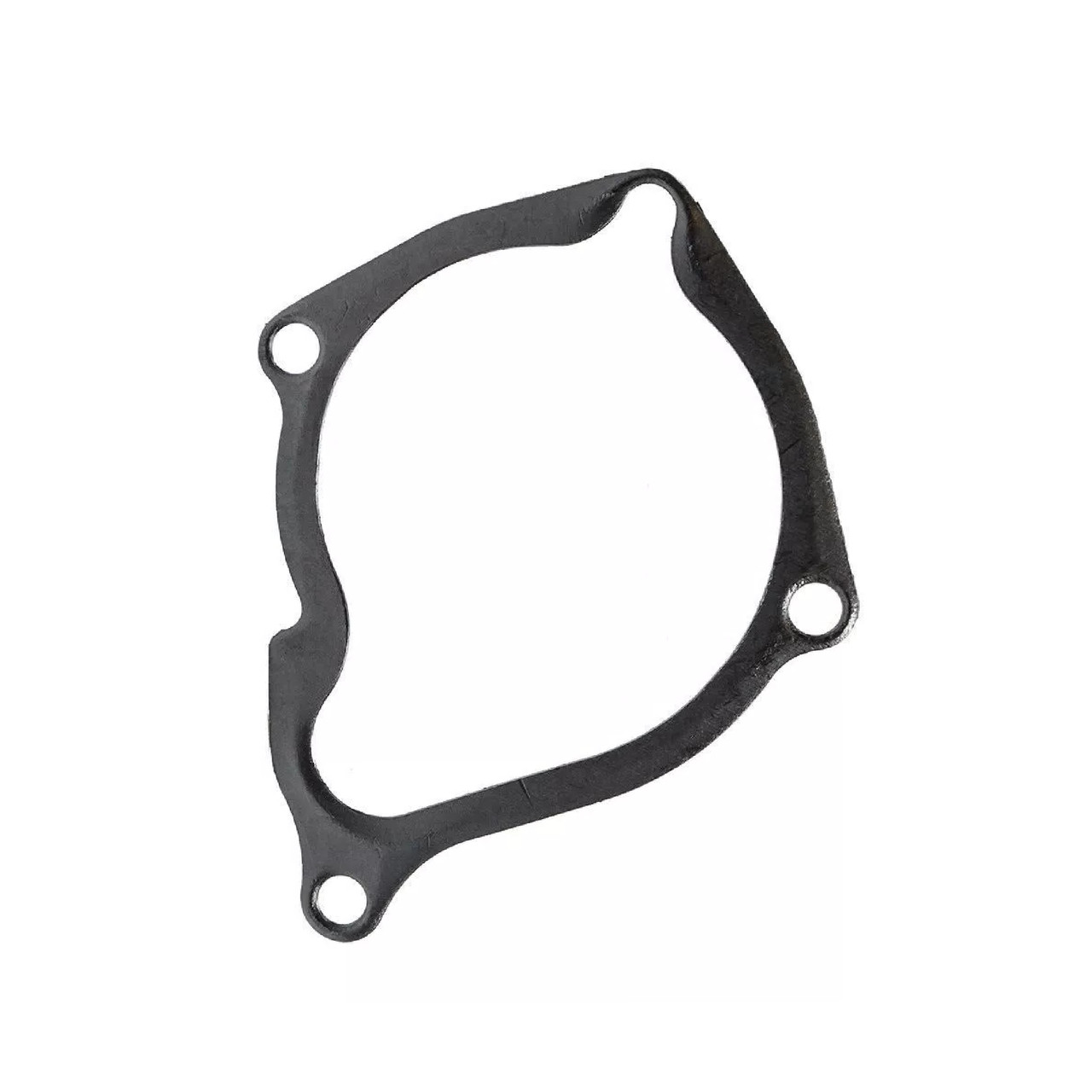 Polaris OEM Water Pump Gasket, 3084937, 3086840
