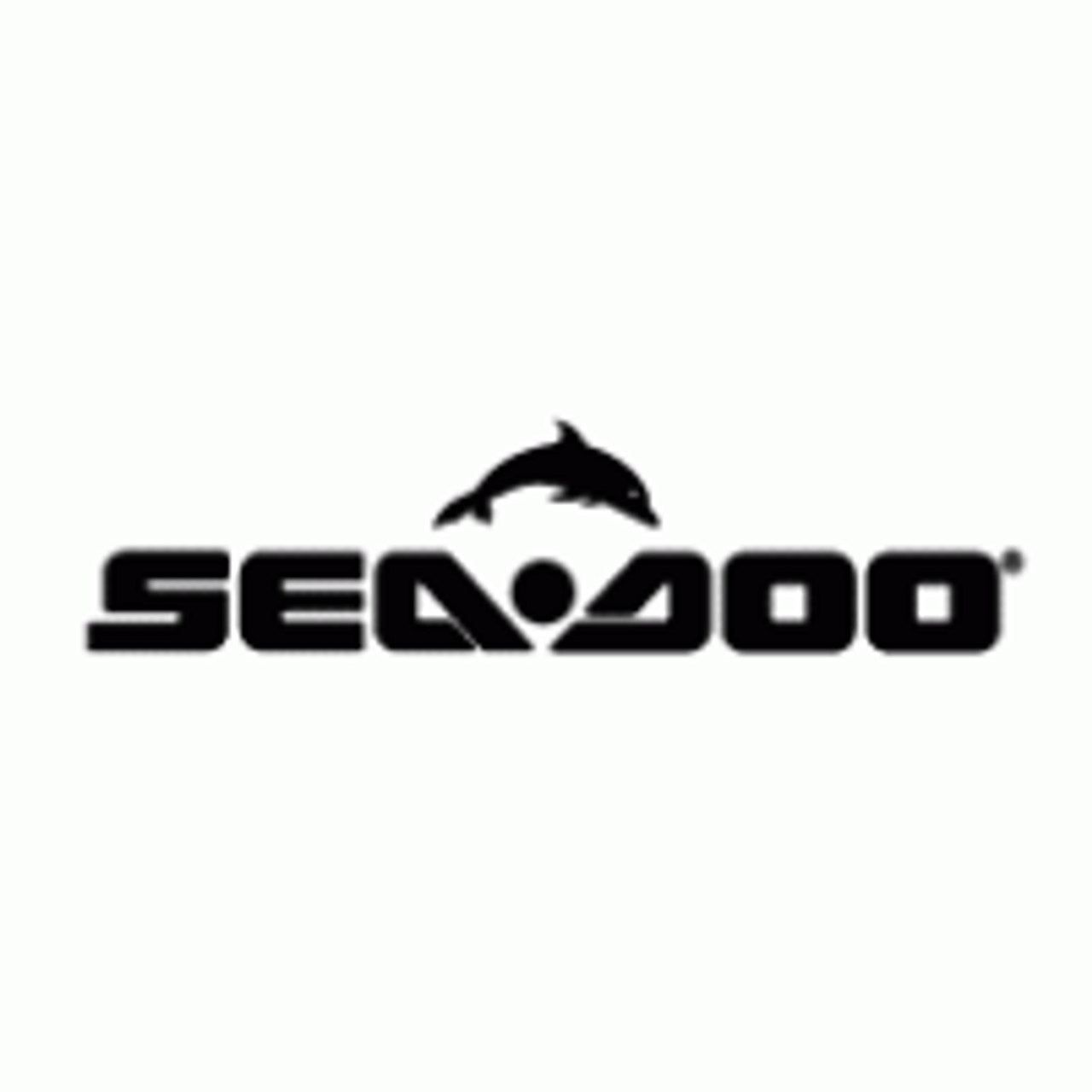 Sea-Doo New OEM, DI And 4-TEC Models Learning Key Lanyard, 278002152 278002203