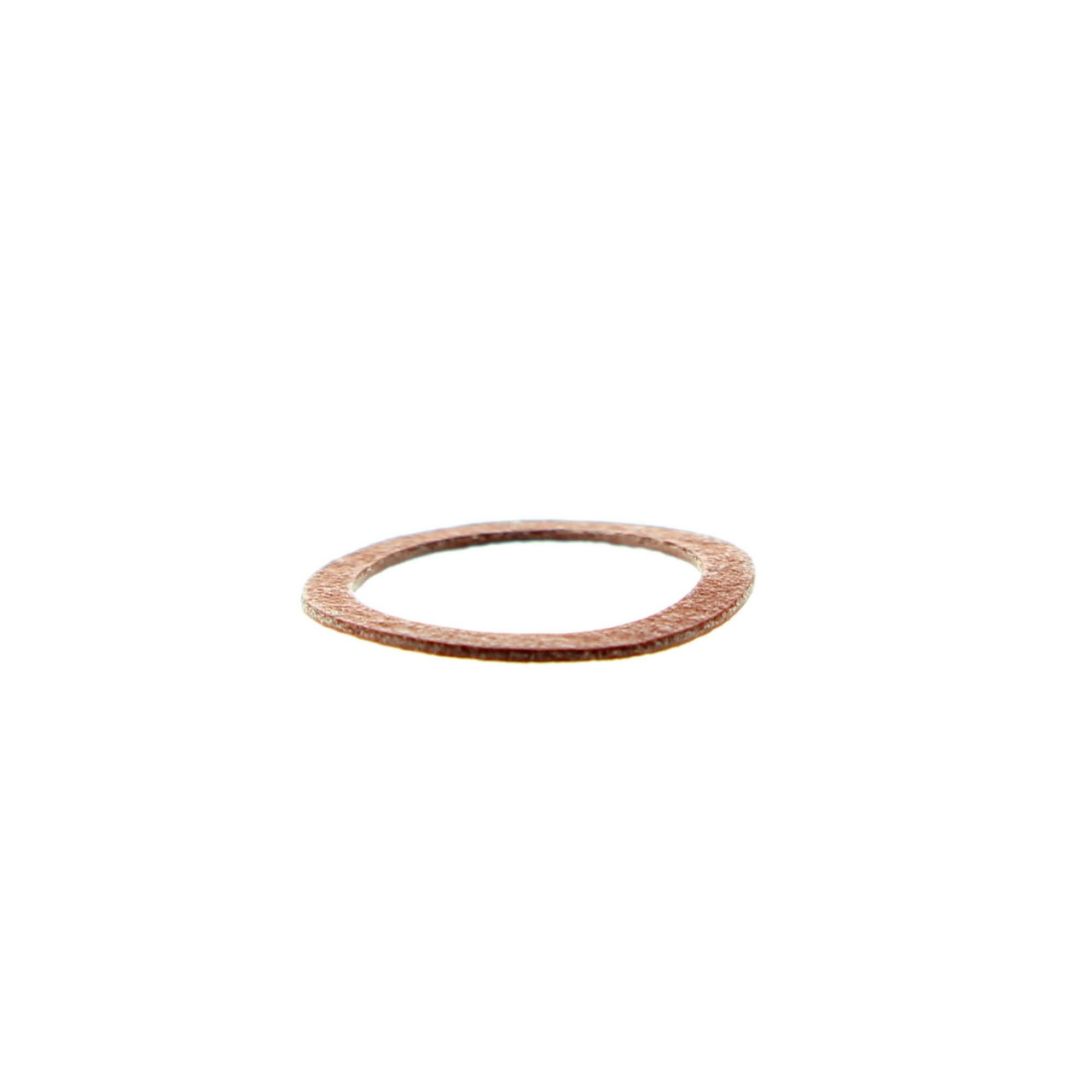 Polaris New OEM Packing Needle Valve, 3130017