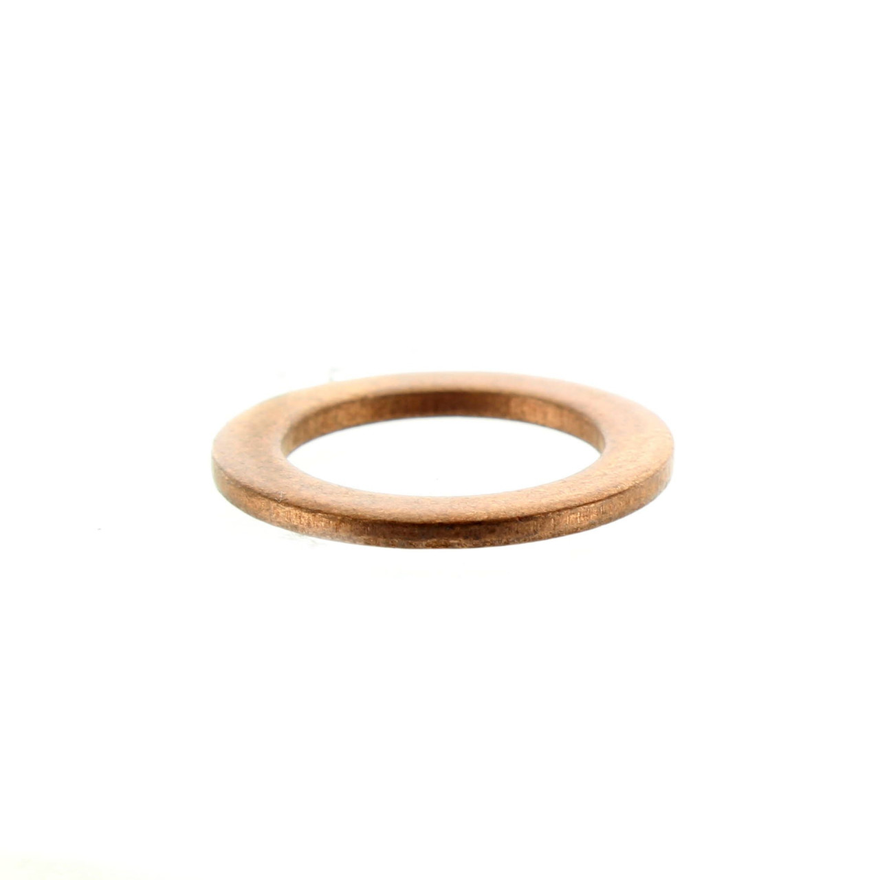 Can-Am New OEM Gasket Ring, 420650465