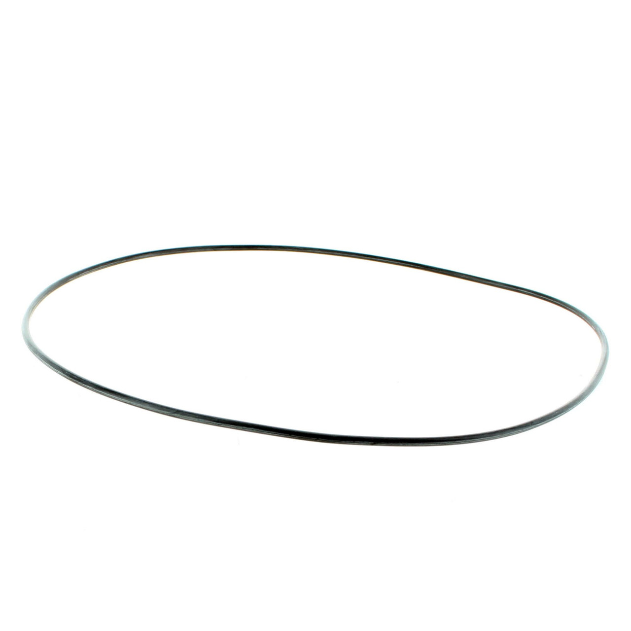 Polaris New OEM Magneto Rubber O-Ring, 5411320