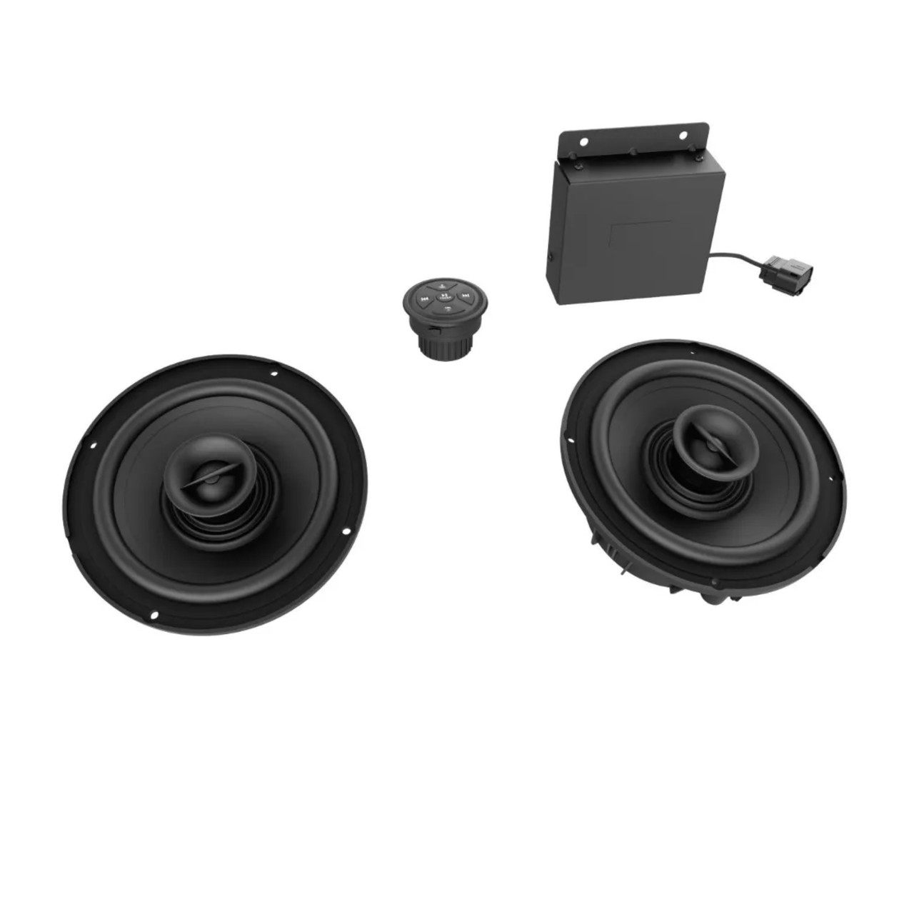 Sea-Doo New OEM Audio System, Switch, 295100992