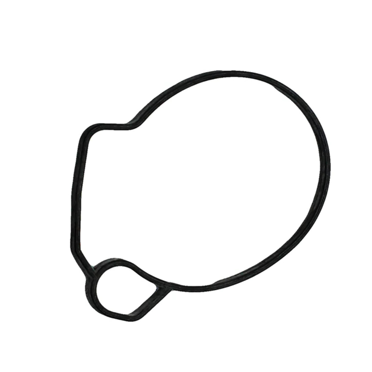 Polaris OEM Float Chamber Seal, 0450095