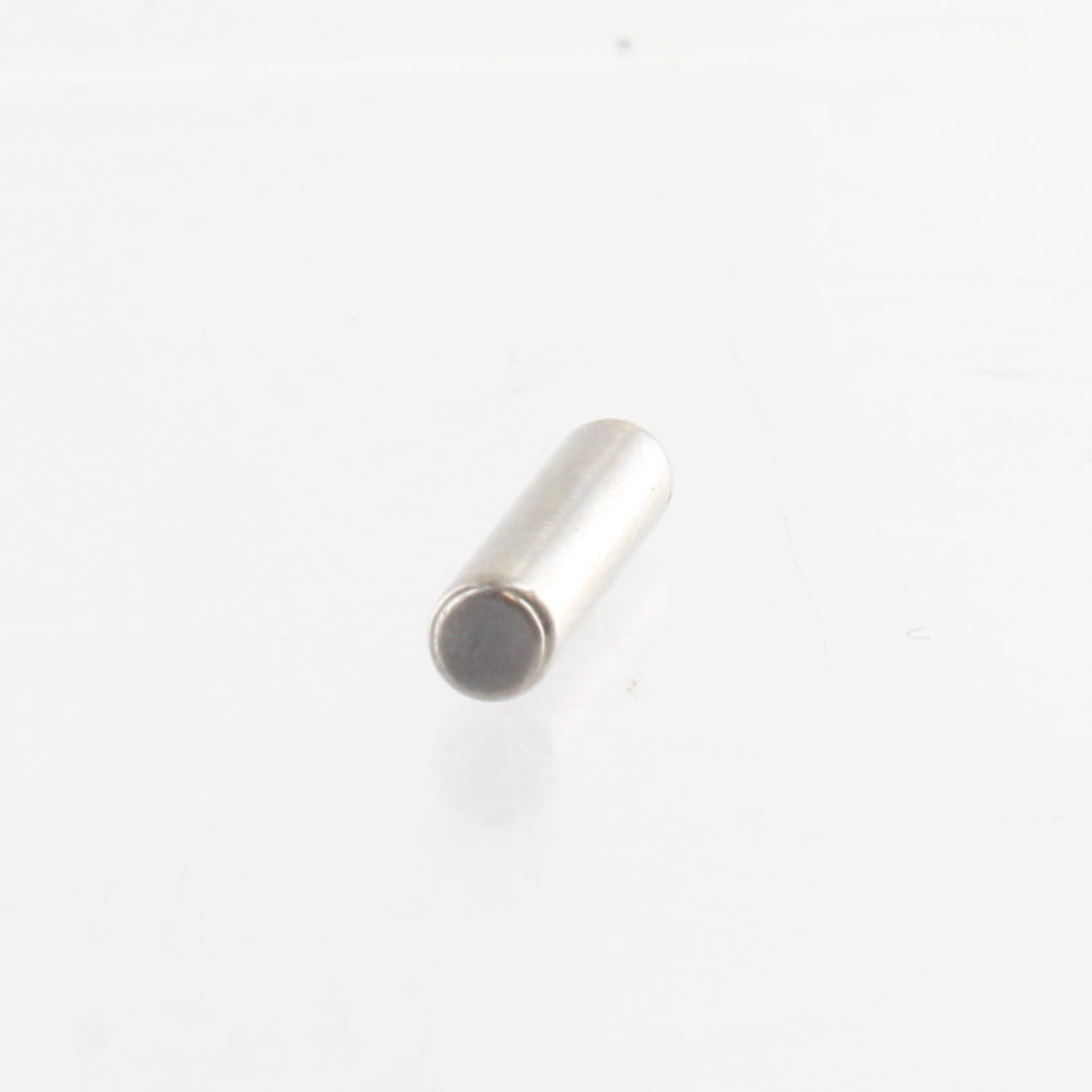 Polaris New OEM Pump Assembly Shaft Pin, 0450051