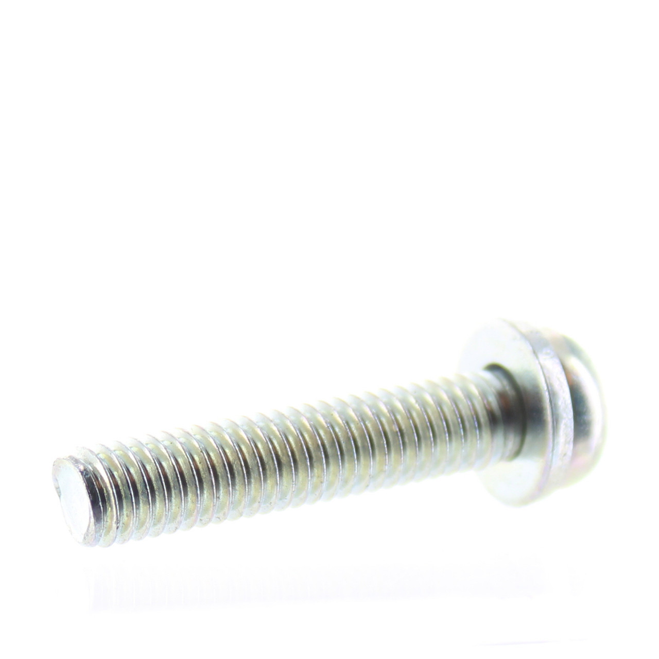 Polaris New OEM Screw and Washer, 3083784