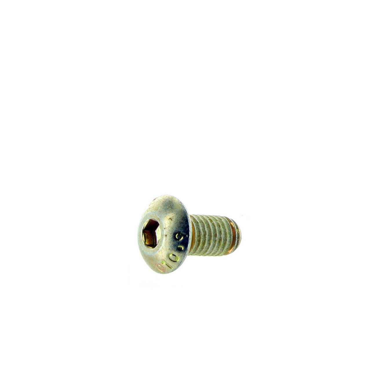 Can-Am New OEM Socket Head Screw (M5 X 10), 205951046