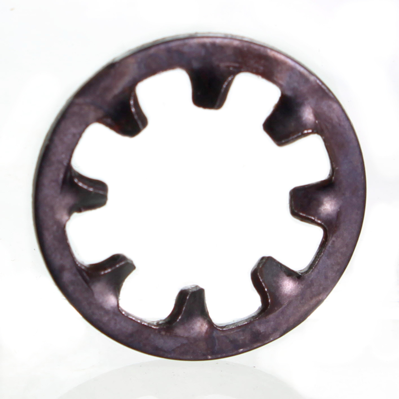 Mercury Marine/MerCruiser New OEM Lockwasher, 13-21804