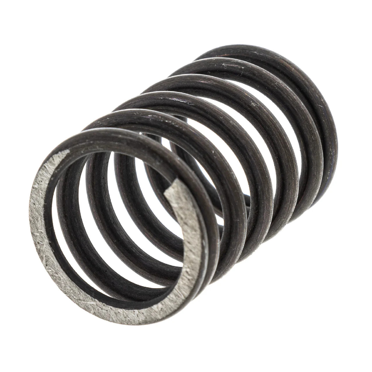 Polaris OEM Valve-Spring, 3087575