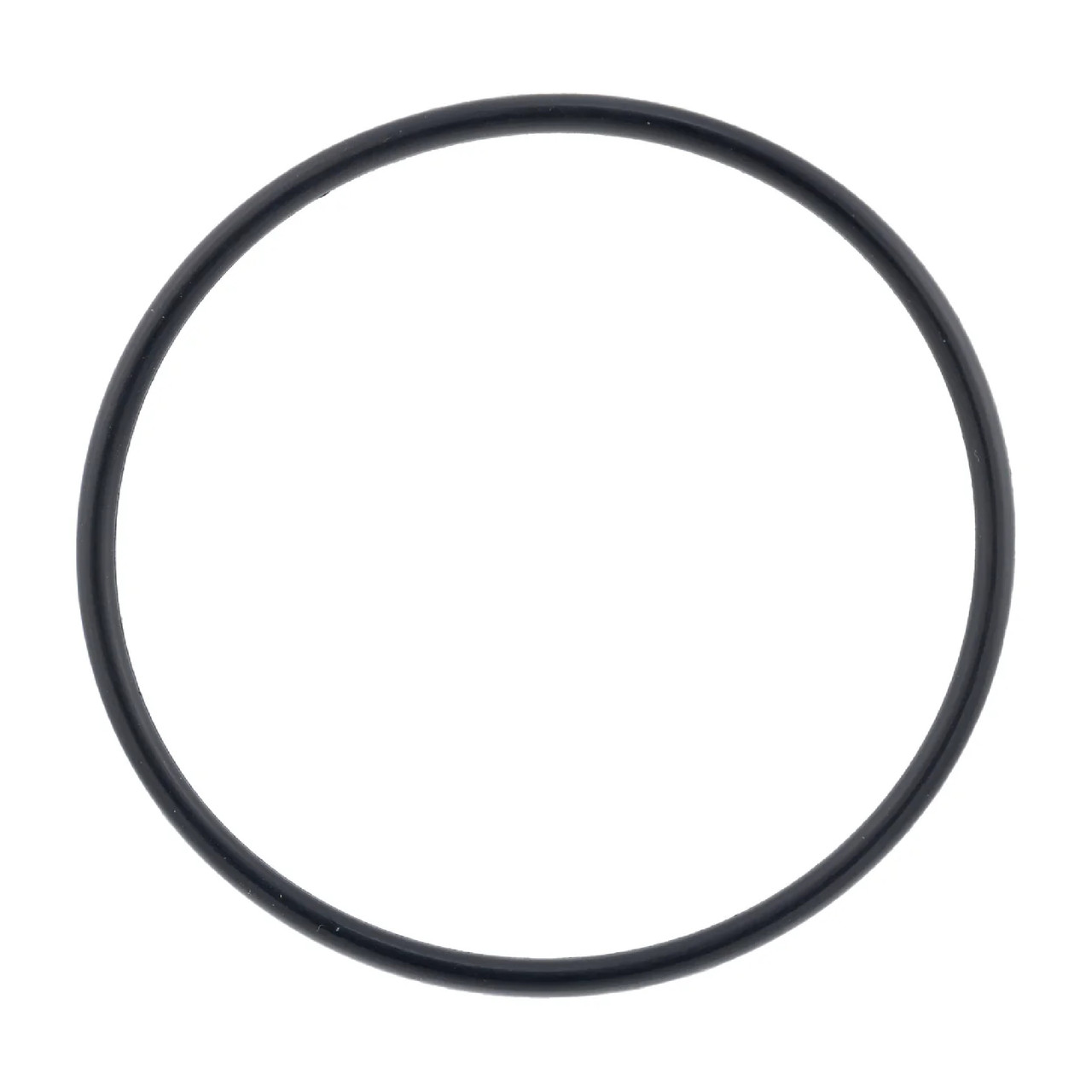 Polaris OEM O'ring, 0454549
