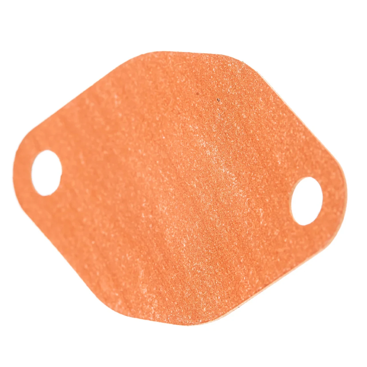 Ski-Doo OEM Crankcase Water Pump Gasket, 420931568
