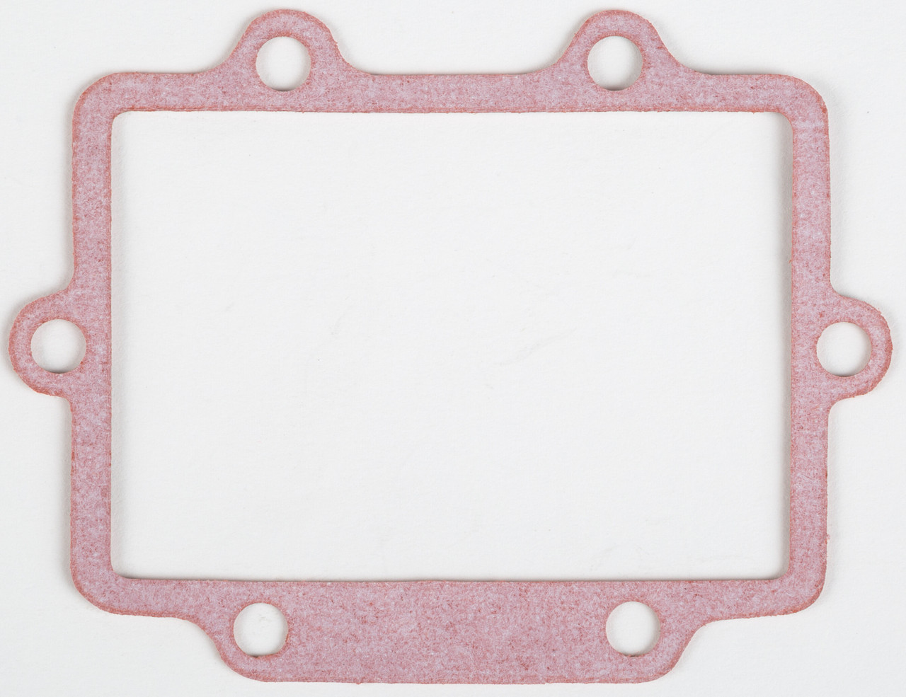 BOYESEN Rad Valve Gasket, 59-7925