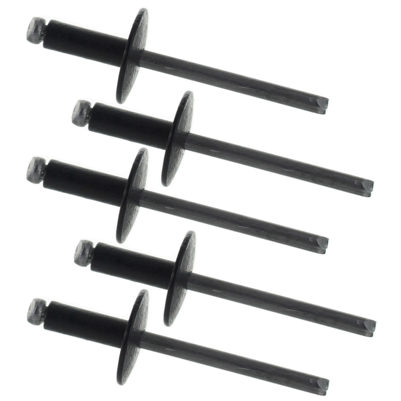 BRP New OEM 3/16 Pop Rivet, QTY 5, 293150104, 293150292