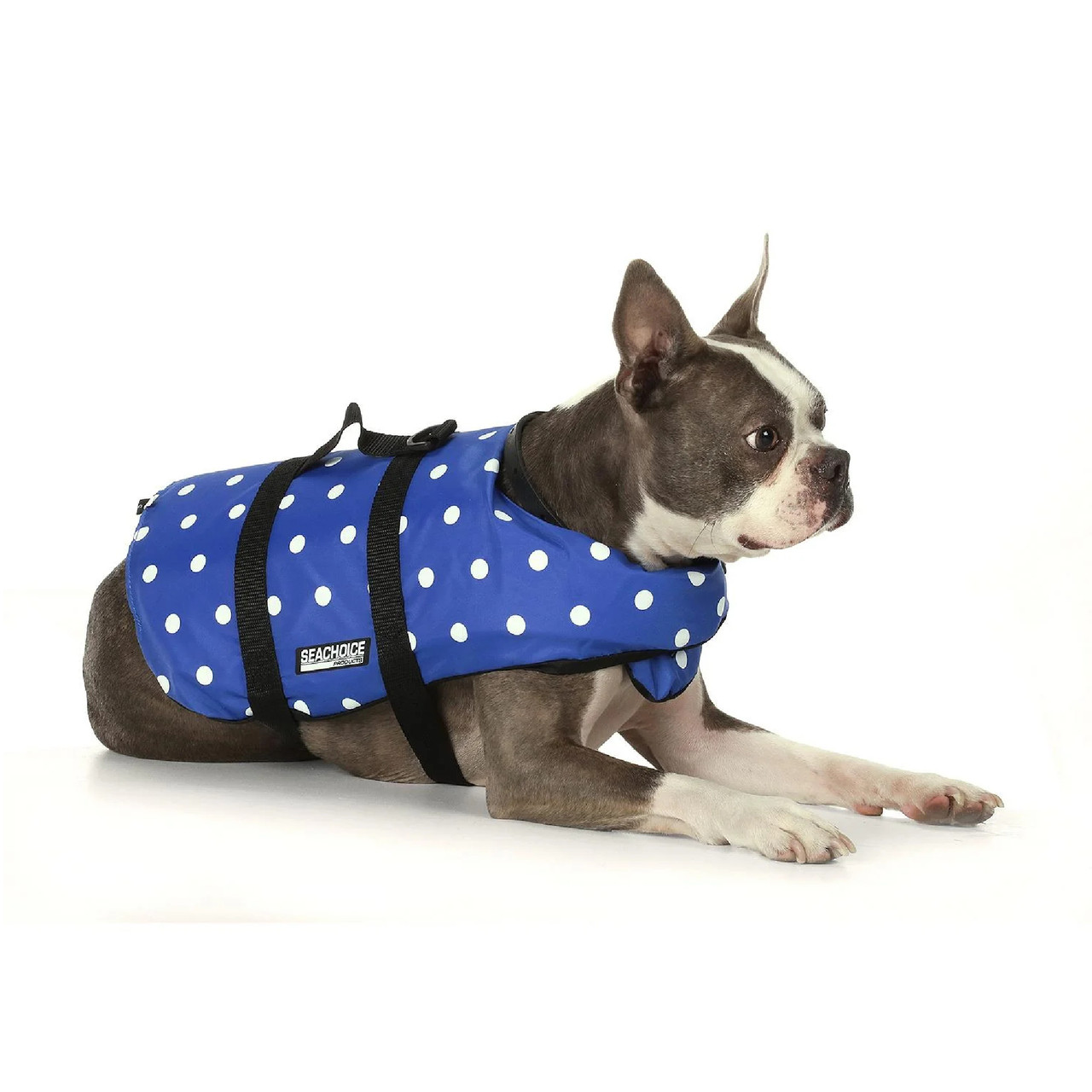 Seachoice New XS Dog Life Vest Blue Polka Dot with Grab Handle, 50-86270