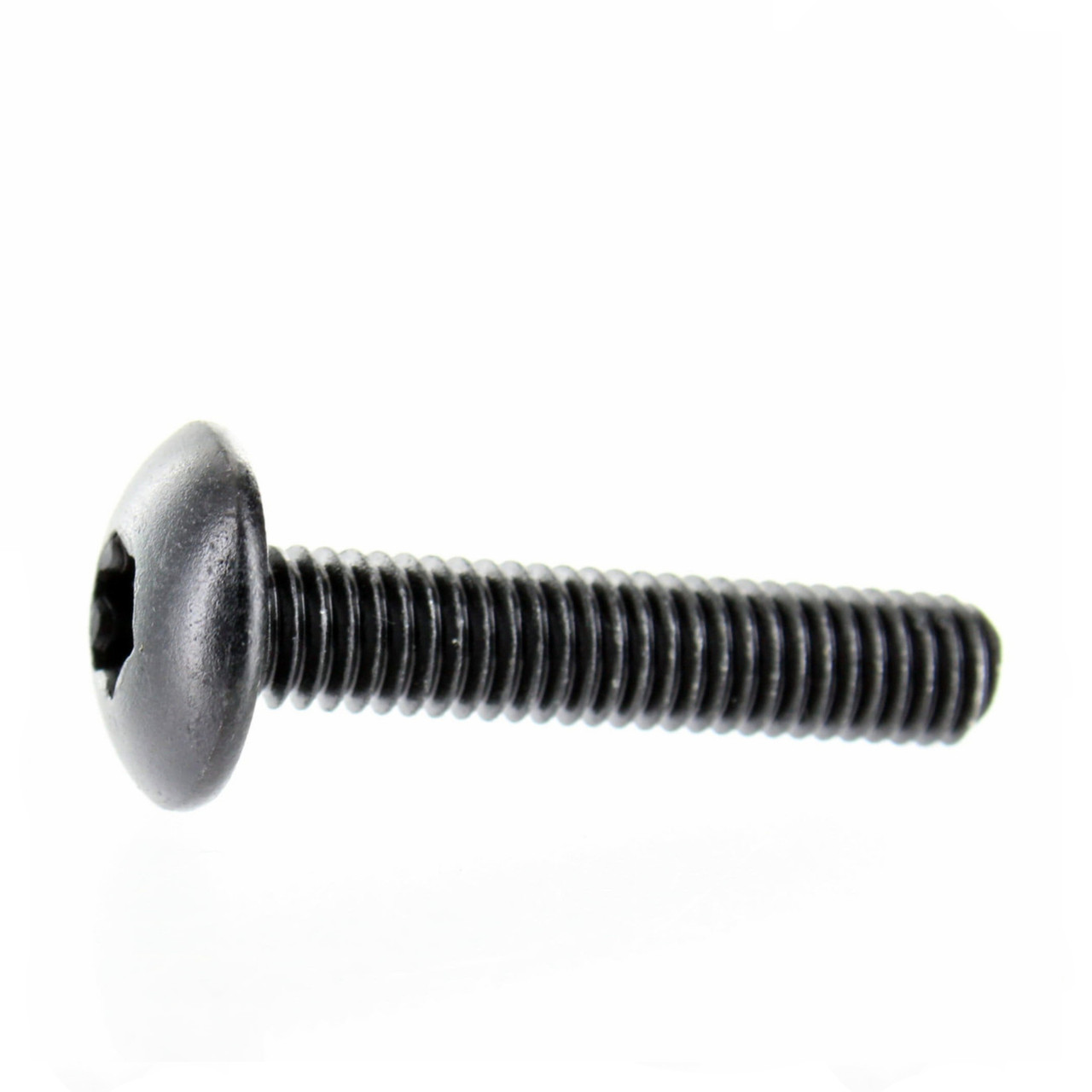Can-Am OEM Torx Truss Screw M6 X 30 Nylon 10 Pack, 250000398