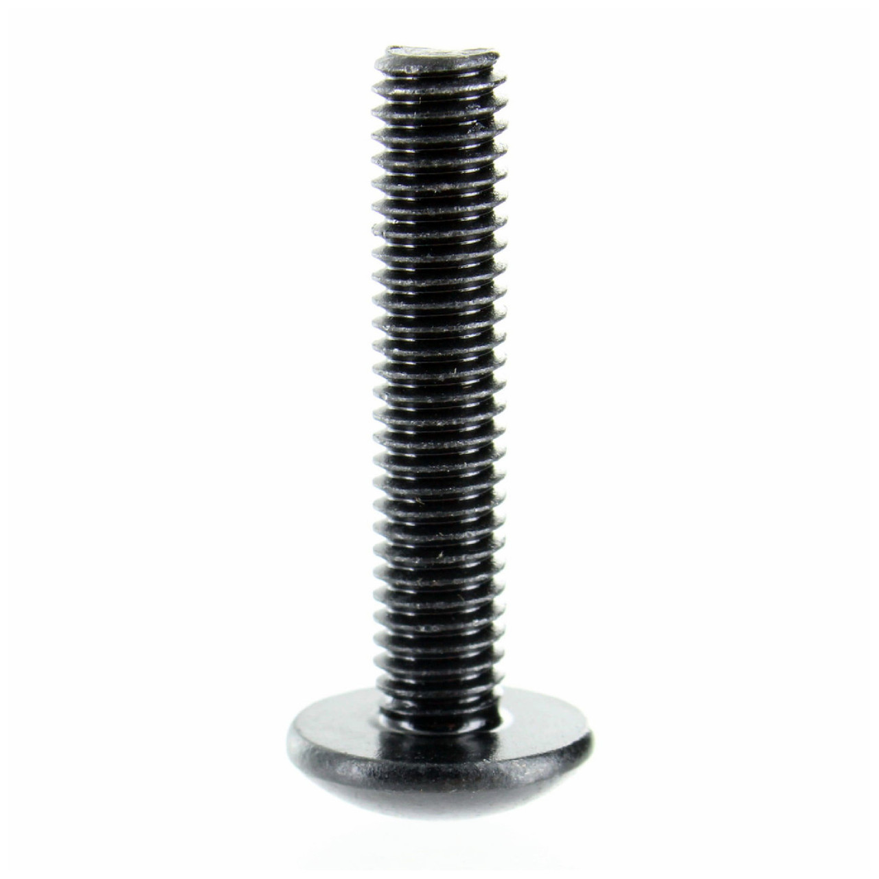 Can-Am OEM Torx Truss Screw M6 X 30 Nylon 2 Pack, 250000398