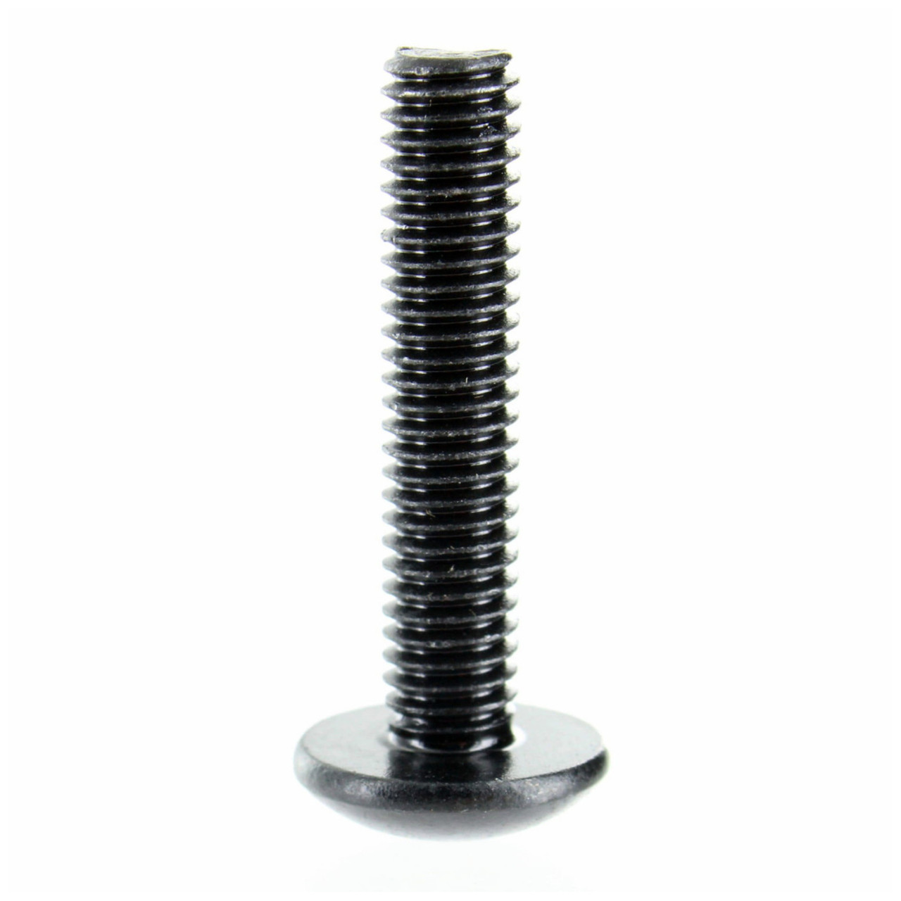 Can-Am OEM Torx Truss Screw M6 X 30 Nylon 25 Pack, 250000398