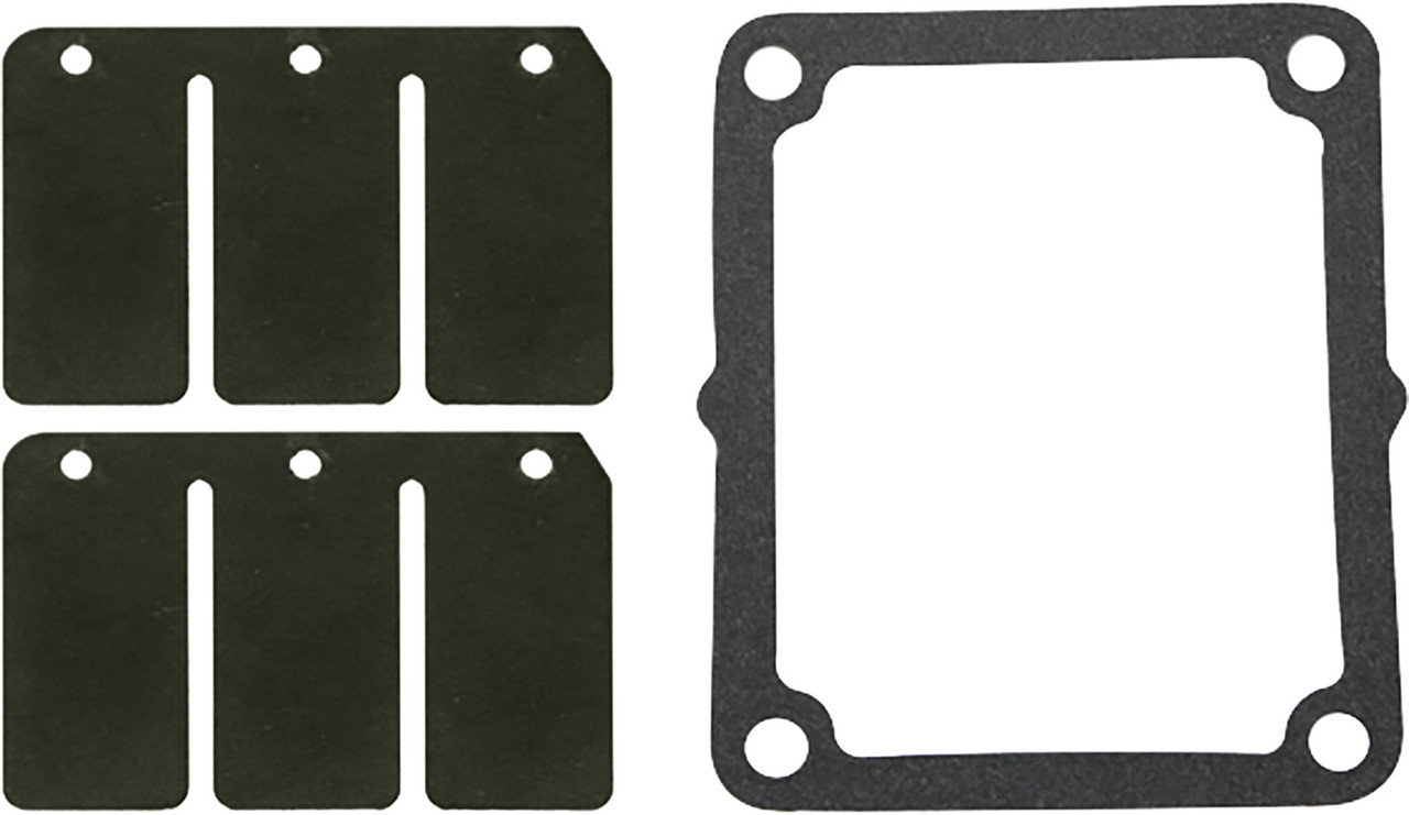 SP1 Reed Valve Rebuild Kit, 59-90182