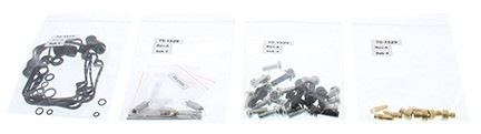 ALL BALLS Carburetor Rebuild Kit, 226-1734