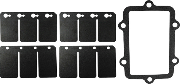 SP1 Reed Valve Rebuild Kit, 59-90153