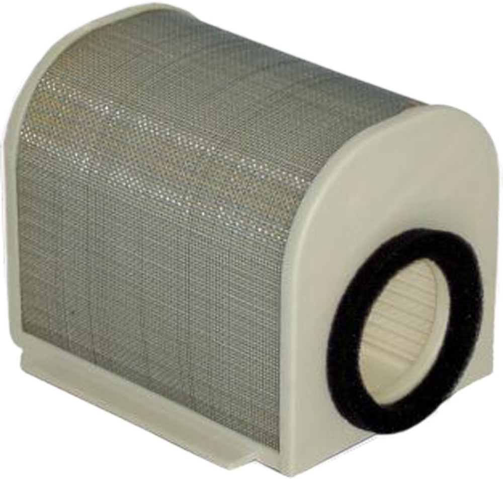 HIFLOFILTRO Air Filter, 551-4906