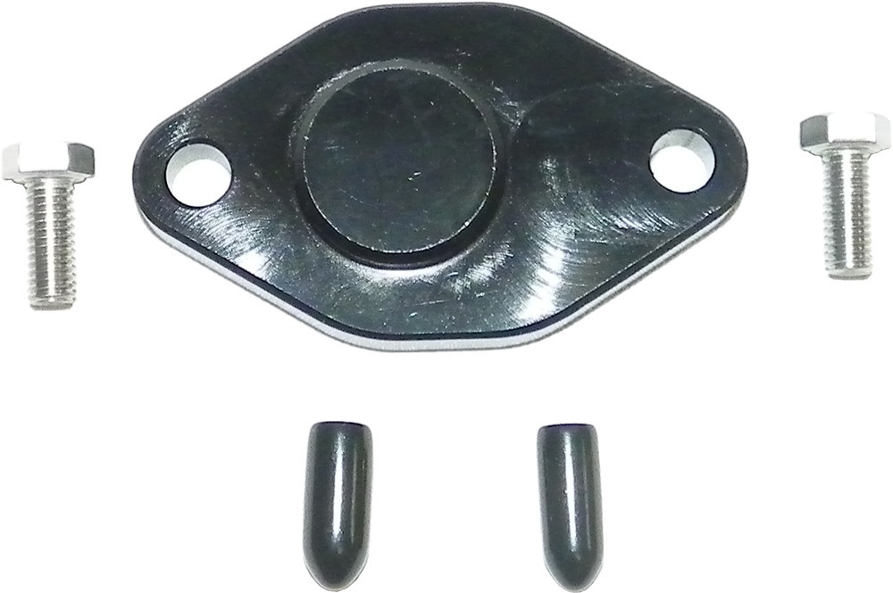 WSM Oil Injection Block Off Plate, 18-2059