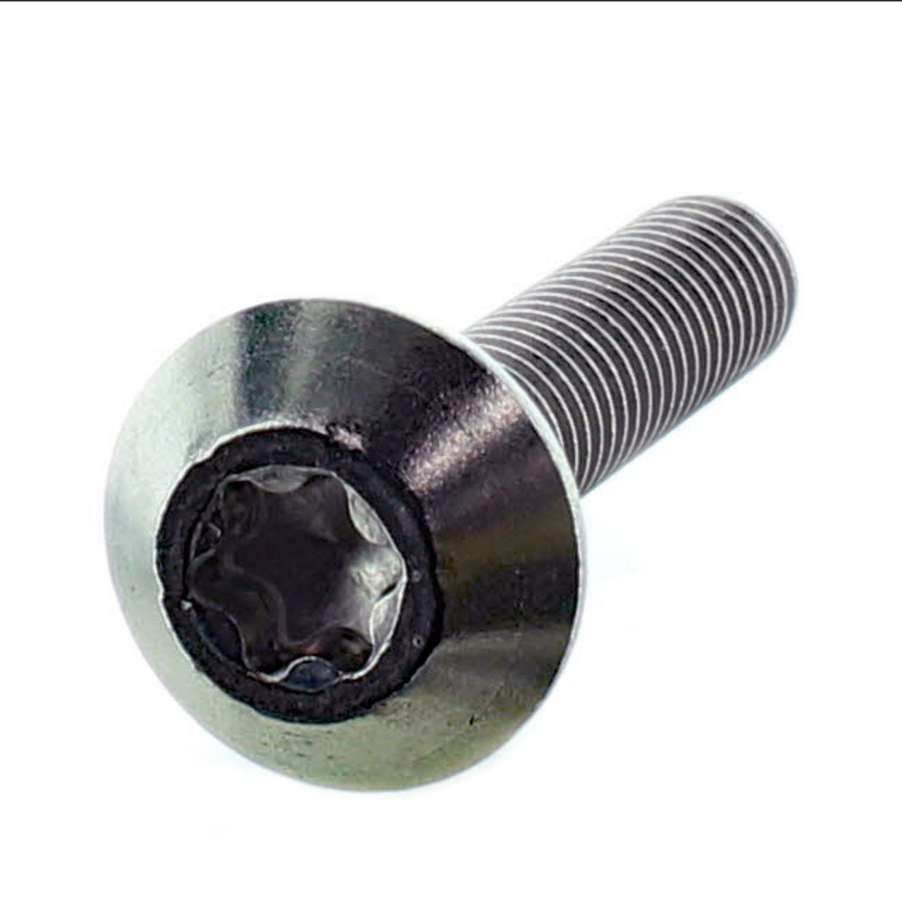 Sea-Doo New OEM Truss Cone Torx Screw M6 Set of 25, 250000924