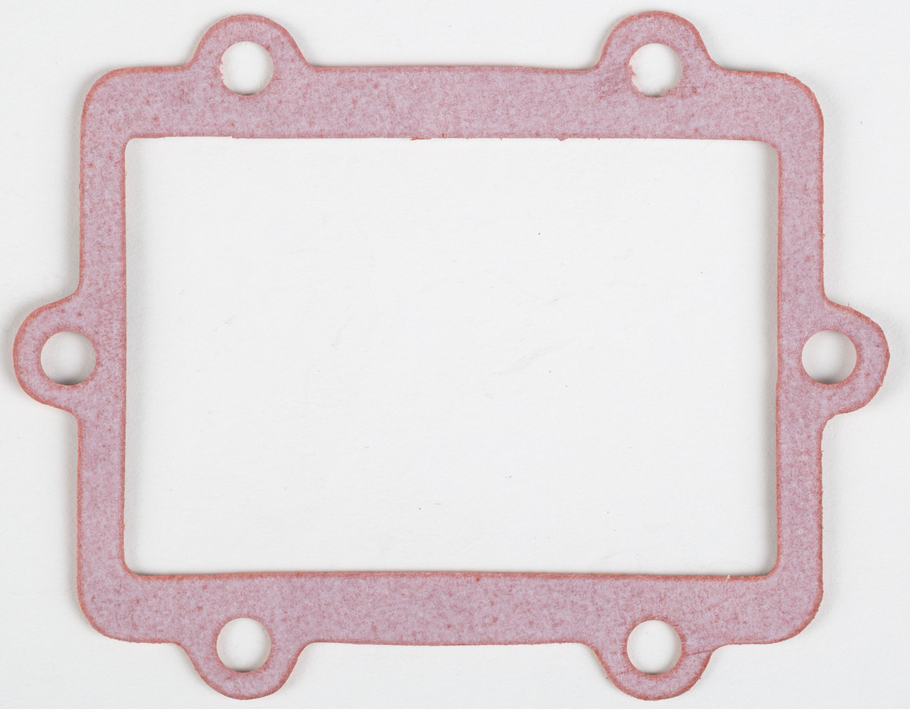 BOYESEN Rad Valve Gasket, 59-7902A