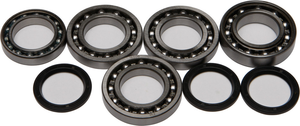 ALL BALLS Differential Bearing & Seal Kit, 22-52077