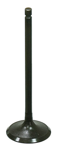 BRONCO Intake Valve, 183-09199
