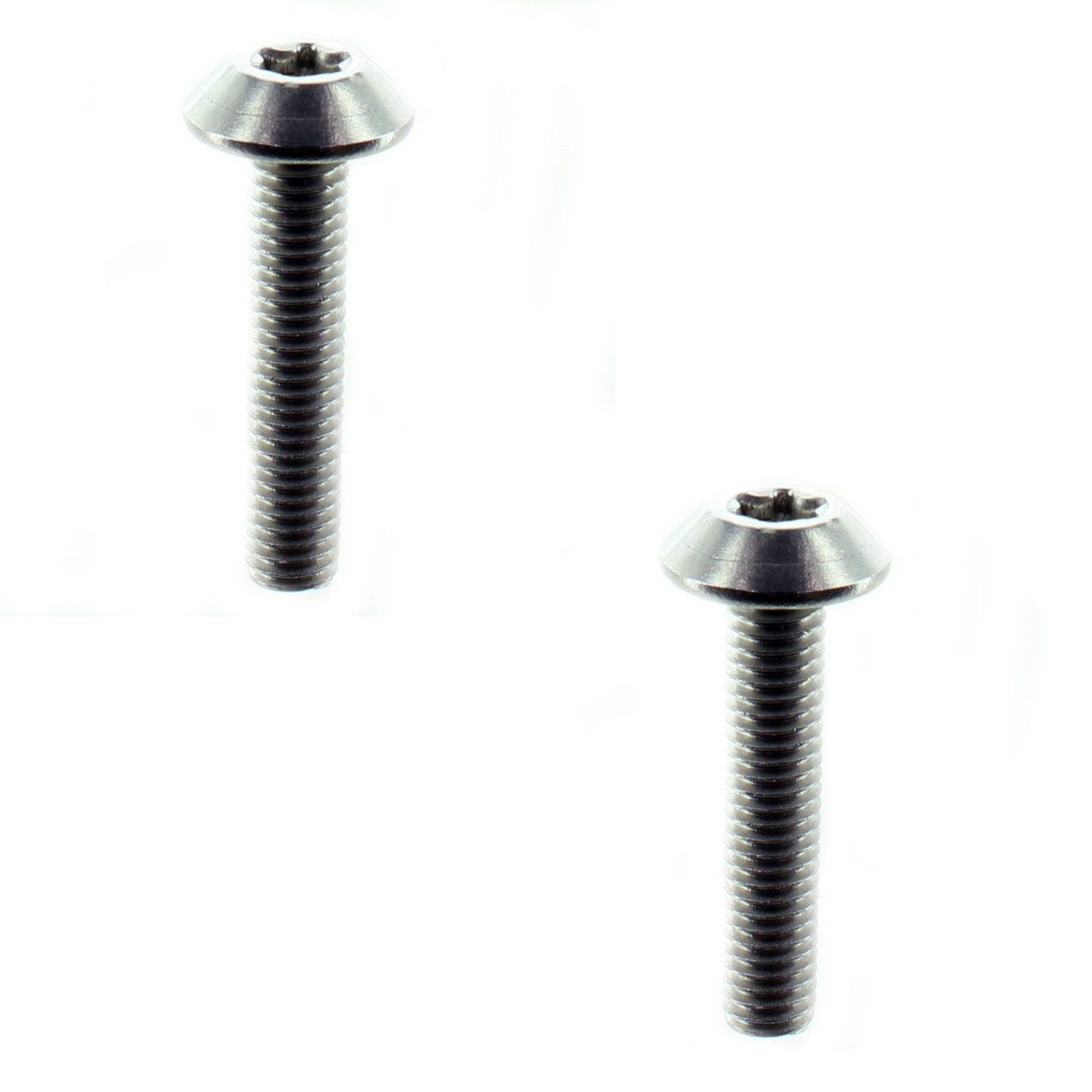 Sea-Doo New OEM Truss Cone Torx Screw M6 Set of 2, 250000924