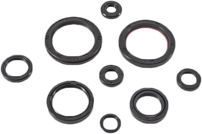 VERTEX Oil Seal Kit, 182-2989