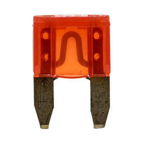 Polaris OEM Ignition Fuse 10 Amp, 2434016