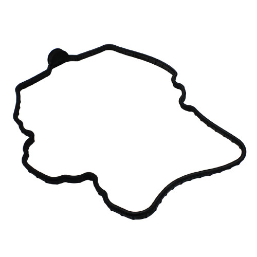 Polaris OEM Valve Cover Seal, 5413361