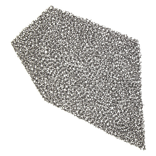 Polaris OEM 1" Foam Inlet Filter for RZR, 5813675