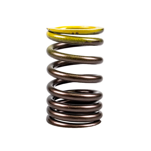 Polaris OEM Outer Valve Spring, 3087983
