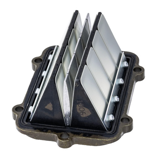 Polaris Snowmobile OEM Reed Valve Assembly, 1202698