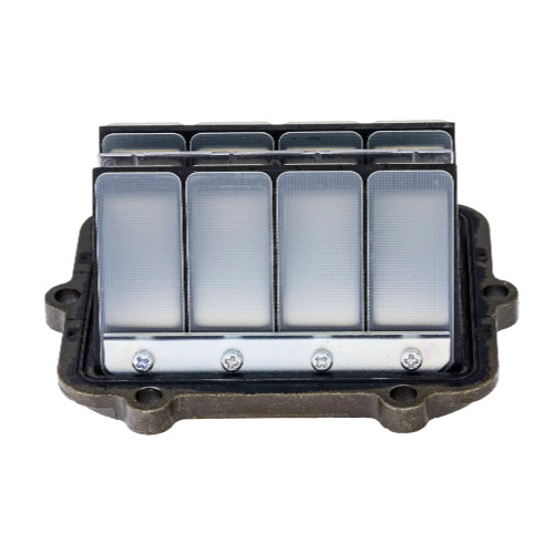 Polaris Snowmobile OEM Reed Valve Assembly, 1202698