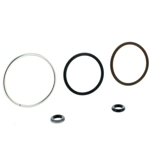 Johnson Evinrude OMC OEM Fuel Injector Seal Kit, 0769112 5005803 5007017