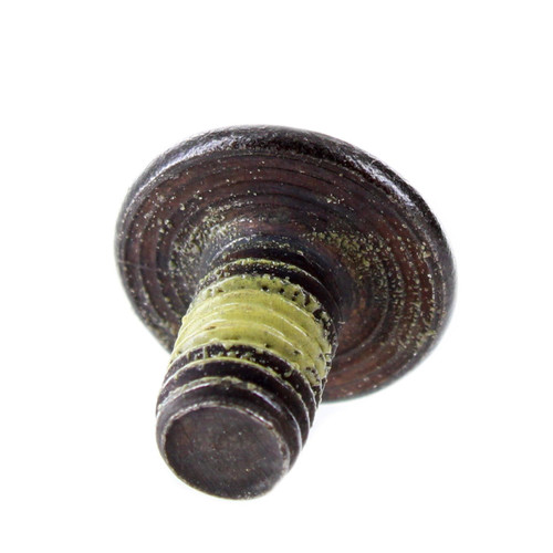 Ski-Doo OEM Torx Truss Screw (M6 x 10), 250000349